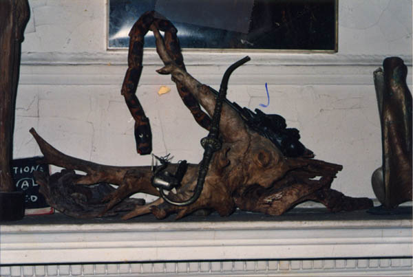 driftwood
