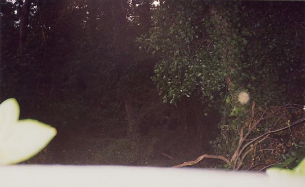 37-OverFence