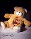 Teddy.jpg