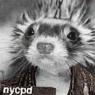 Historical Reenactments by Ferrets