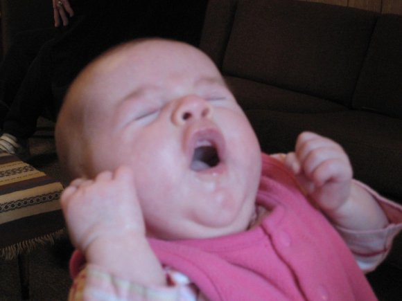 yawn
