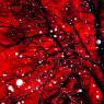 013106 redsnowsky