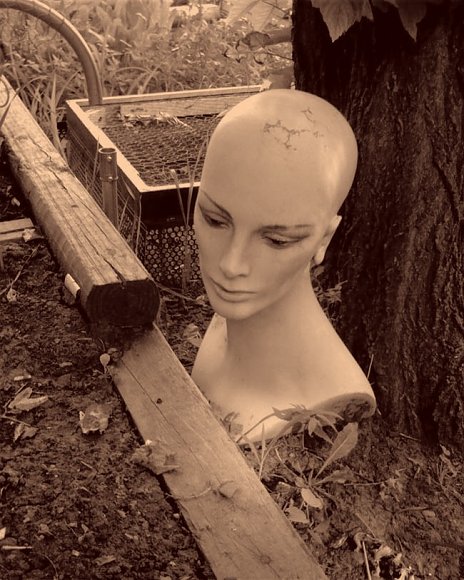 yard ladysepia