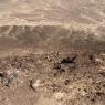 Desert-Vegas