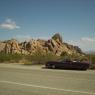 Joshua Tree