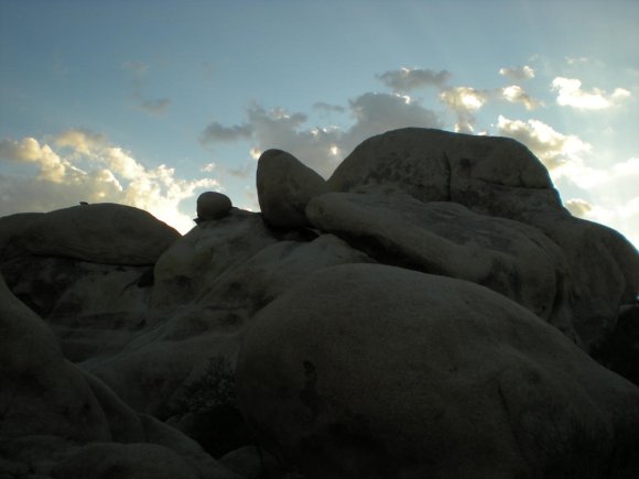 DSCN0024