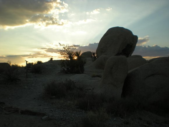 DSCN0026