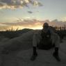 Joshua Tree