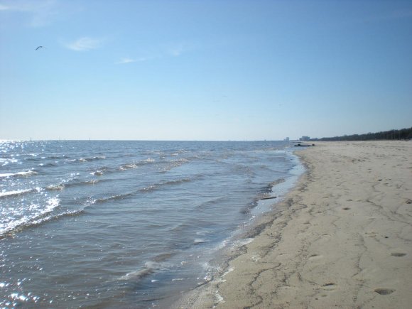 DSCN0161