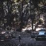 Cross-country trip 1971